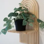 Apartmán Bismarck - Urban Calm Stylish Open Living In Naehe Messe